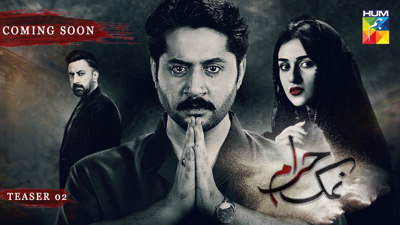 namk haram drama review