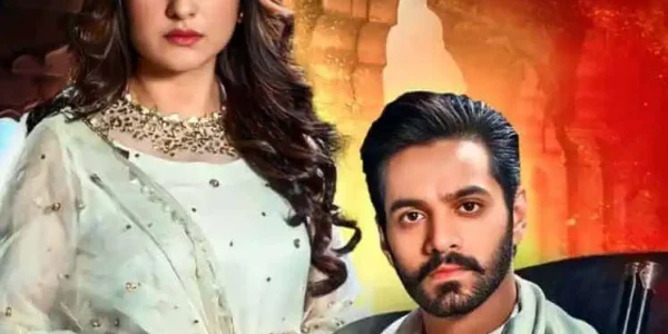 Tere bin drama review